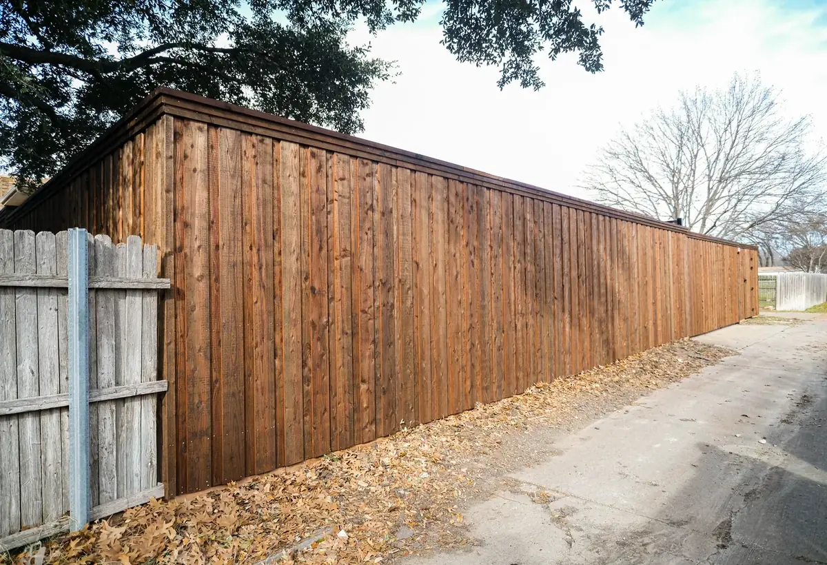 Recent project