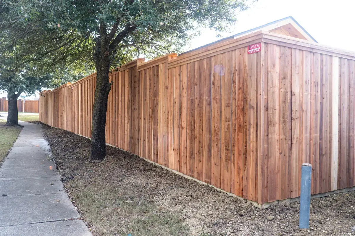 Recent project