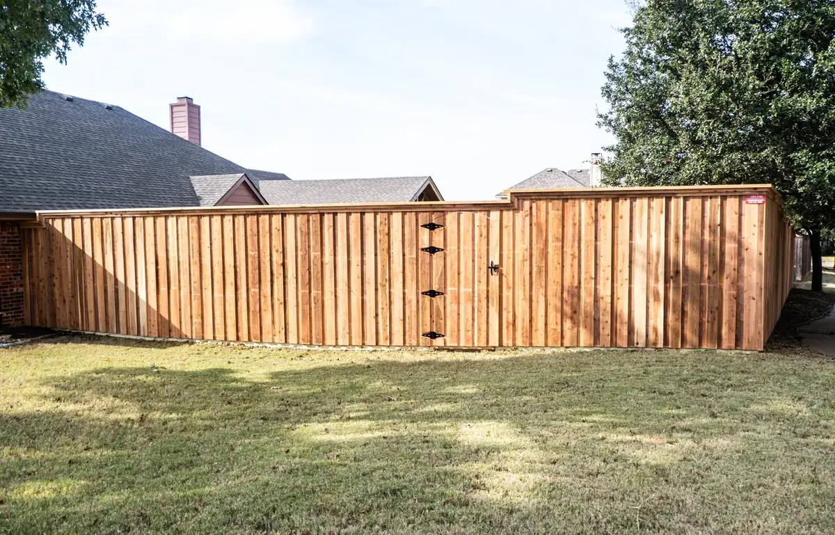 Recent project