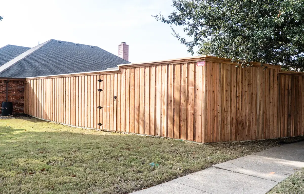 Recent project