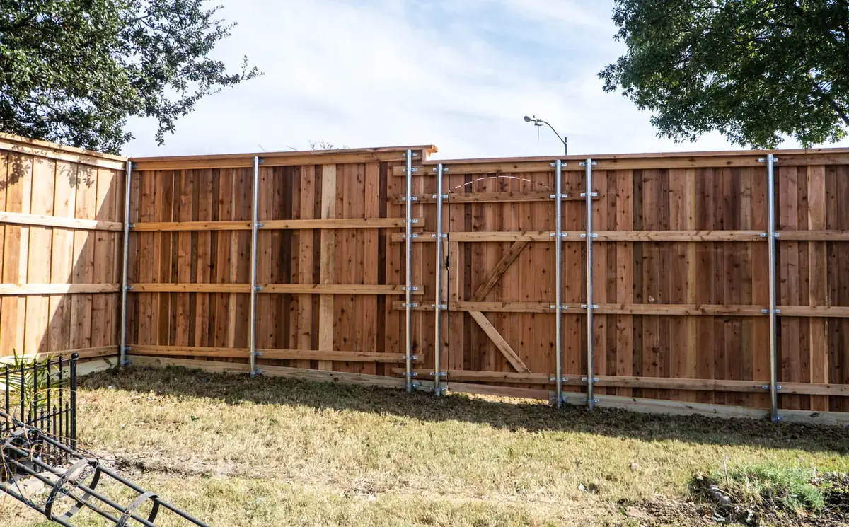 Recent project